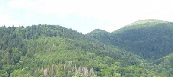 2 Schlafzimmer Haus in Goldbach-Altenbach, France, Nr. 99680 38