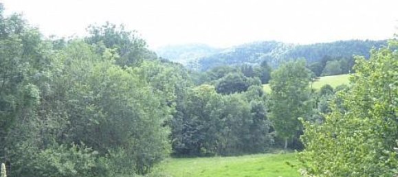 2 Schlafzimmer Haus in Goldbach-Altenbach, France, Nr. 99680 44