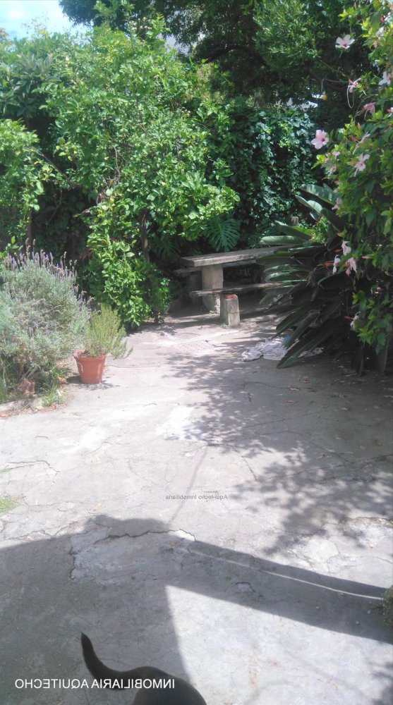  Land in Montevideo, Uruguay No. 14117