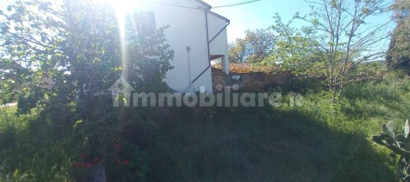 Casa T2 em Magliano in Toscana, Italy N.º 144429 18