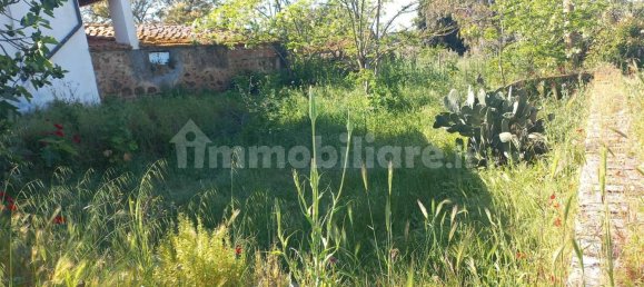 Casa T2 em Magliano in Toscana, Italy N.º 144429 9