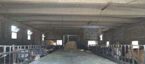 7-salle Appartement à Ragusa, Italy No. 49300 6