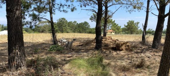 قطعة أرض في Sesimbra, Portugal 7125متر مربع رقم 91364 5