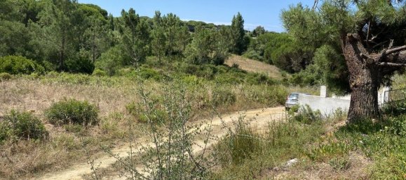 قطعة أرض في Sesimbra, Portugal 7125متر مربع رقم 91364 13