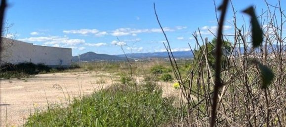 Lagerhaus in La Pobla de Vallbona, Spain 1784m², Nr. 155900 3