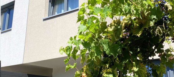 Дом с 4 спальнями в Оффенбах, Германия № 204558 45