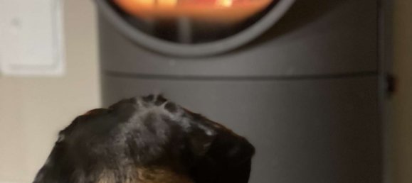 Дом с 4 спальнями в Оффенбах, Германия № 204558 5