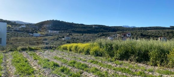 Hotel in Vamos, Greece 7234m², Nr. 4215 4