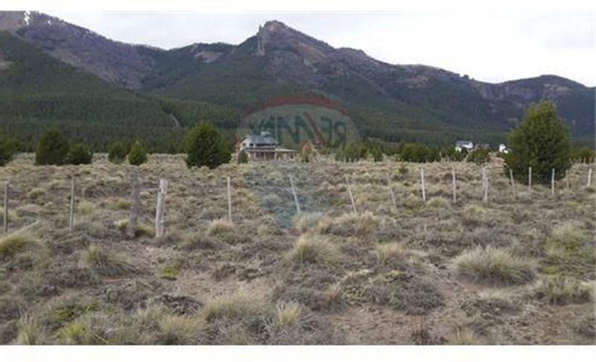  Land in Neuquen, Argentina No. 50137