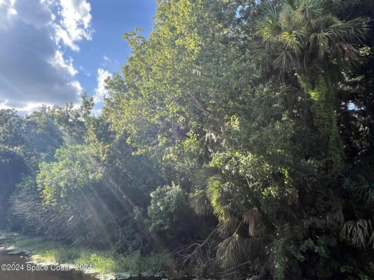  Land in Cocoa, USA No. 483987