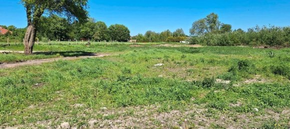  Land in Rostock, Germany No. 148505 2