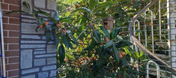 3 chambres Appartement à Trana, Italy No. 266097 25