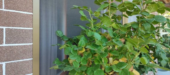 3 chambres Appartement à Trana, Italy No. 266097 26