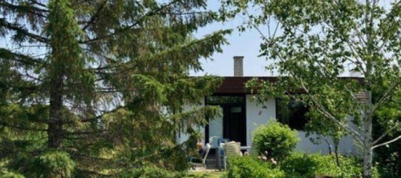 3 rooms Bungalow in Trausdorf an der Wulka, Austria No. 174948 4