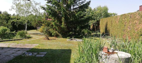 3 rooms Bungalow in Trausdorf an der Wulka, Austria No. 174948 3