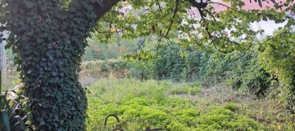 2غرفة منزل في Agerola, Italy رقم 303578 8