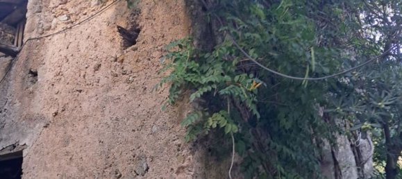 2غرفة منزل في Agerola, Italy رقم 303578 5