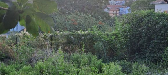 2غرفة منزل في Agerola, Italy رقم 303578 7