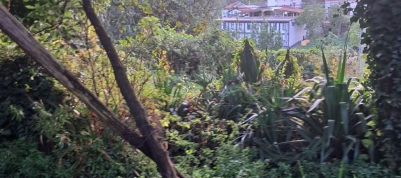 2غرفة منزل في Agerola, Italy رقم 303578 9