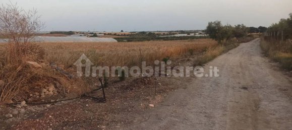 Terrain à Noto, Italy 35000m² No. 59878 9