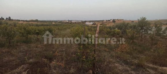 Terrain à Noto, Italy 35000m² No. 59878 18
