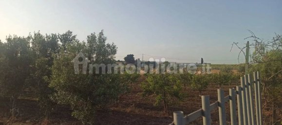 Terrain à Noto, Italy 35000m² No. 59878 5