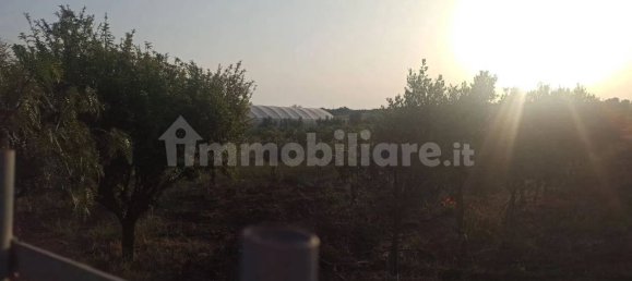 Terrain à Noto, Italy 35000m² No. 59878 7