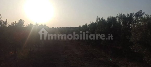 Terrain à Noto, Italy 35000m² No. 59878 6