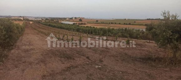 Terrain à Noto, Italy 35000m² No. 59878 2