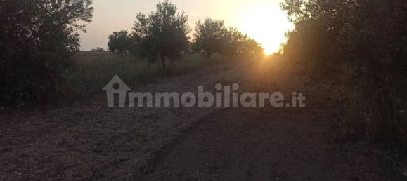 Terrain à Noto, Italy 35000m² No. 59878 16