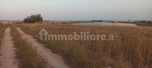 Terrain à Noto, Italy 35000m² No. 59878 11