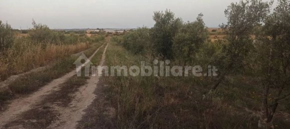 Terrain à Noto, Italy 35000m² No. 59878 17