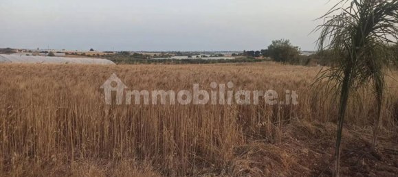 Terrain à Noto, Italy 35000m² No. 59878 12