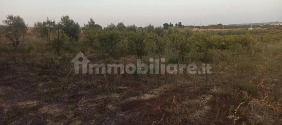 Terrain à Noto, Italy 35000m² No. 59878 19