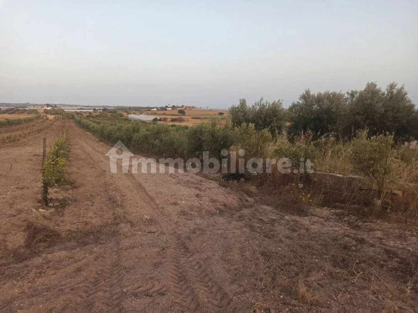 Terrain à Noto, Italy 35000m² No. 59878