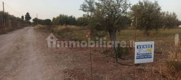 Terrain à Noto, Italy 35000m² No. 59878 8