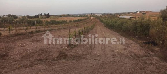 Terrain à Noto, Italy 35000m² No. 59878 14