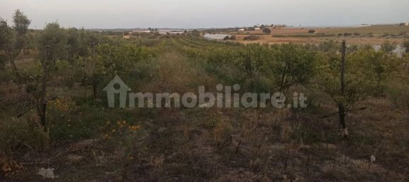 Terrain à Noto, Italy 35000m² No. 59878 3