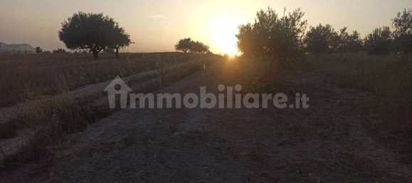 Terrain à Noto, Italy 35000m² No. 59878 13