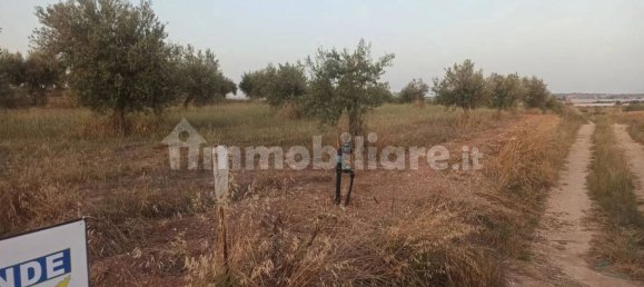 Terrain à Noto, Italy 35000m² No. 59878 10