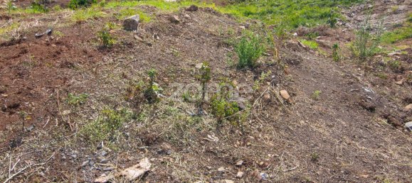 6000m² Land in Funchal, Portugal No. 89523 2