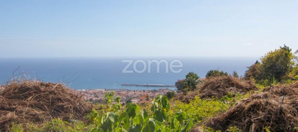 6000m² Land in Funchal, Portugal No. 89523 5