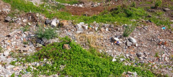 6000m² Land in Funchal, Portugal No. 89523 6