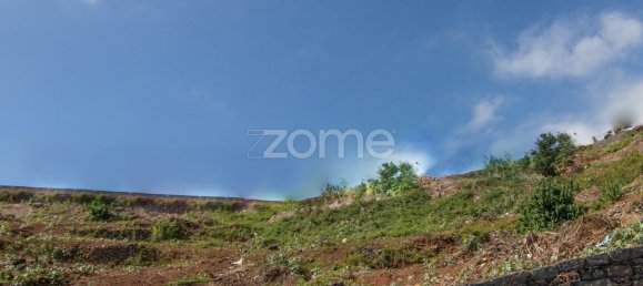 6000m² Land in Funchal, Portugal No. 89523 8