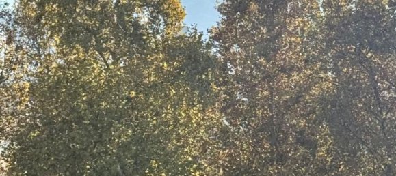 3 rooms Apartment in Turin, Italy No. 124936 18