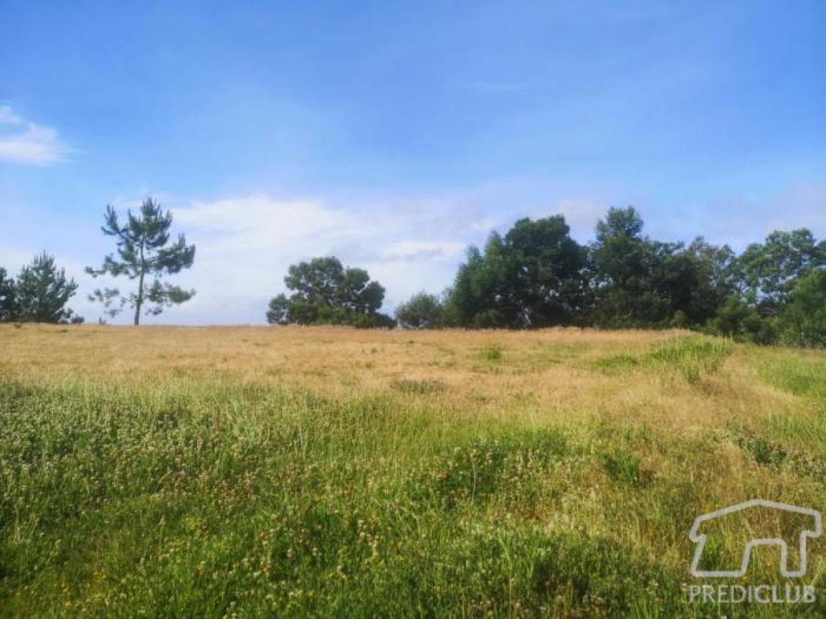  Land in Ribeira Brava, Portugal No. 2115
