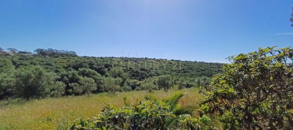 Grundstück in Sintra, Portugal 392m², Nr. 131780 14