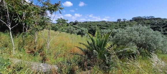 Grundstück in Sintra, Portugal 392m², Nr. 131780 29