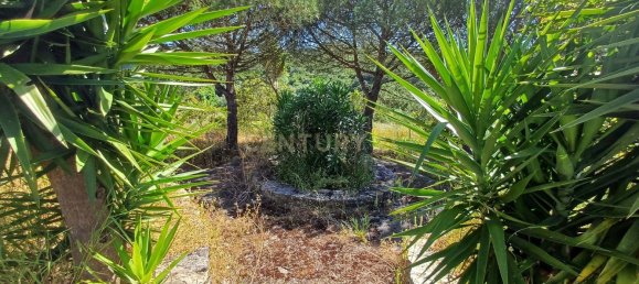 Grundstück in Sintra, Portugal 392m², Nr. 131780 10