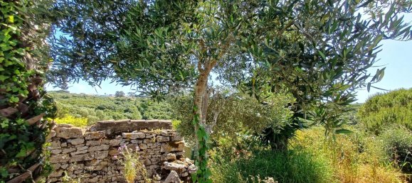 Grundstück in Sintra, Portugal 392m², Nr. 131780 17